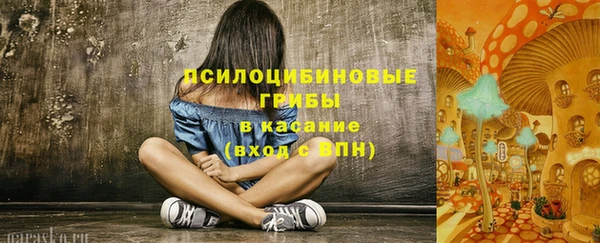 винт Абаза