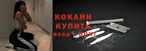 винт Абаза