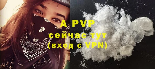 винт Абаза
