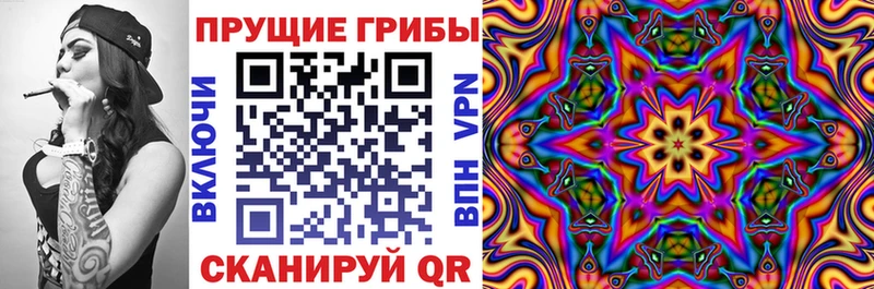 гидра онион  Зерноград  Псилоцибиновые грибы Psilocybine cubensis 